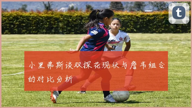 小里弗斯谈双探花现状与詹韦组合的对比分析