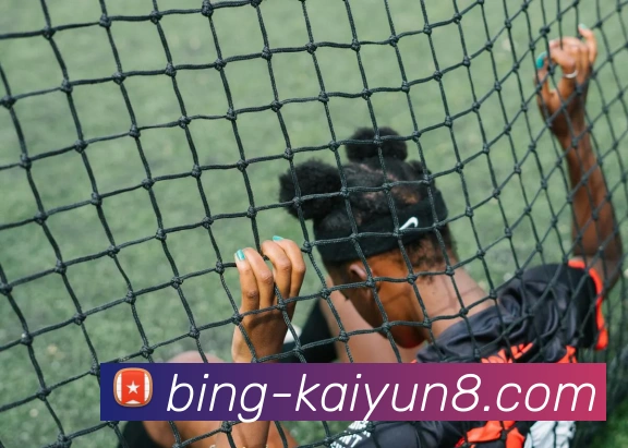 开云体育APP 封面图